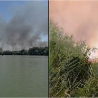 Incendiu de vegetație în zona Ostrovului Babina, Tulcea. Pompierii intervin cu o navă multirol | VIDEO