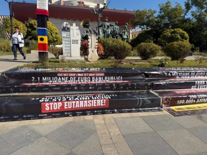 Protest al iubitorilor de animale. Aceștia sunt nemulțumiți de felul în care sunt tratate animalele fără stăpân